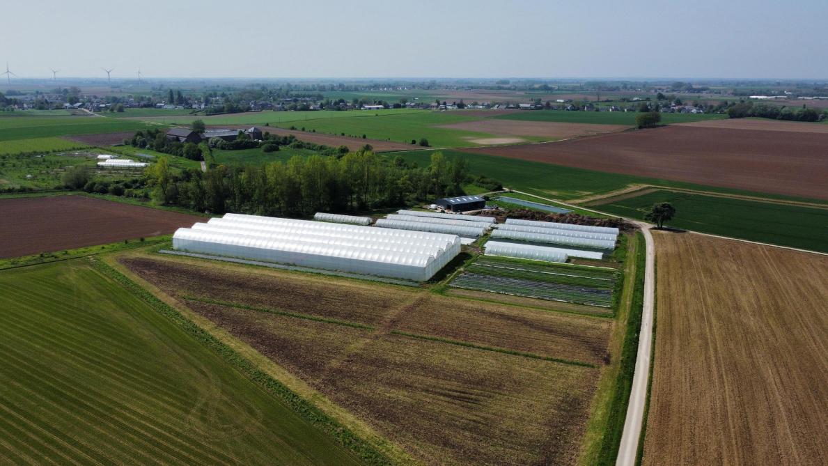 Grow qui a quitté ses terres namuroise pour déployer ses activités sur 5 ha  dont près d’1 ha de serres sur la commune brabançonne de Walhain.