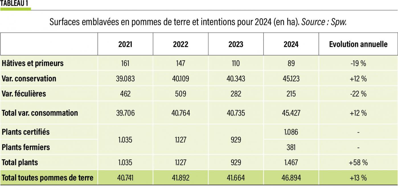 22-Surfaces emblavées en pommes de terre-web
