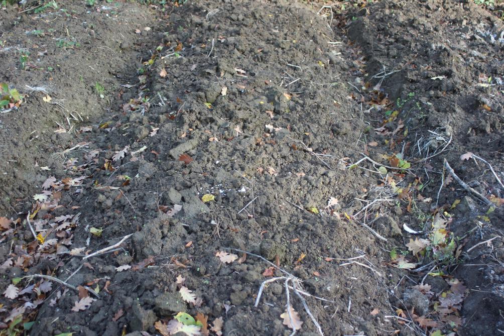 Les ados permettent de remonter la zone de semis et de plantation par rapport au niveau de l