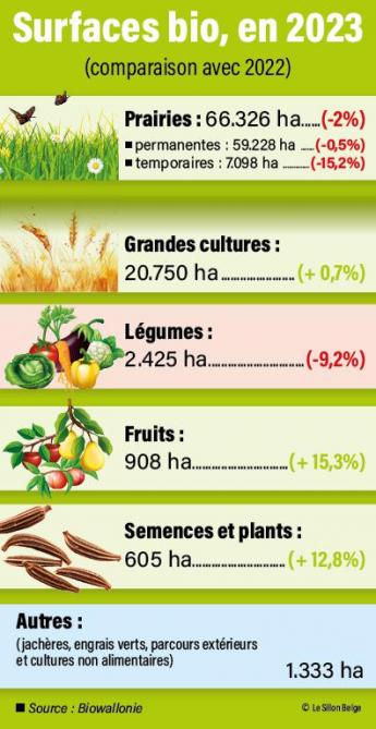 infograph-bio-01-web