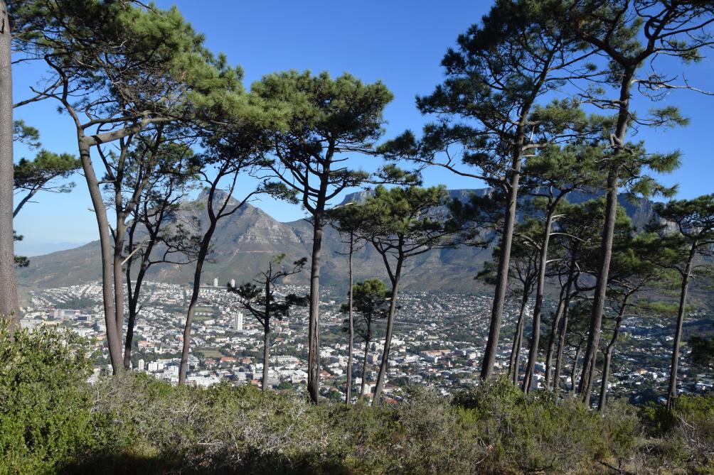 Cap Town, capitale culturelle de l’Afrique du Sud.