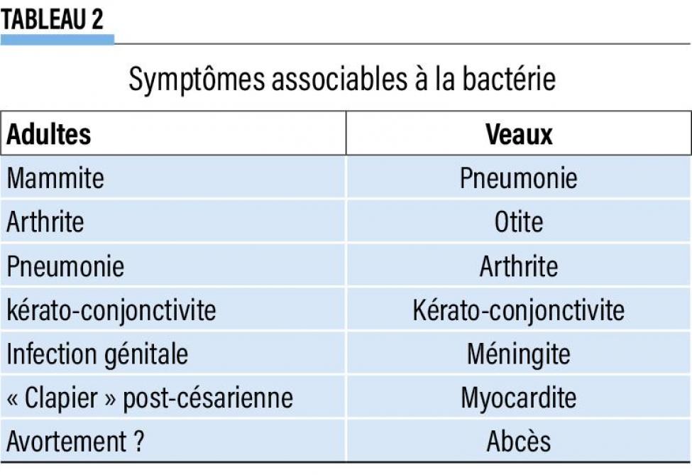 22-2-Symptômes associables à la bactérie-web