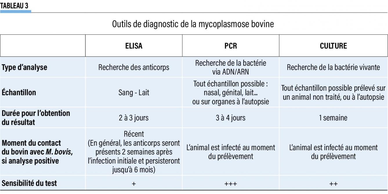 22-3 Outils de diagnostic de la mycoplasmose bovine-web