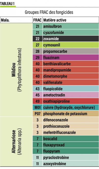 26-Groupes FRAC des fongicides-web