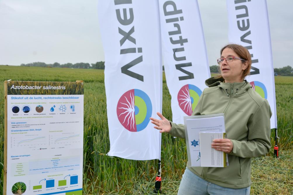 « Vixeran permet à la culture de capter l’azote  atmosphérique, ce qui est synonyme d’économie  d’azote minéral », explique Sarah Van Beneden.