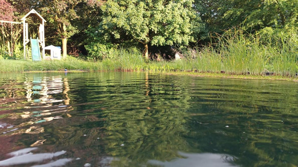 Le lagunage offre pas mal de possibilités de formes, d’agencement et d’associations et, d’un point de vue esthétique et visuel, ça fonctionne bien avec les nouvelles tendances dans les jardins.