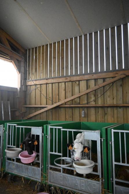 Le bâtiment a été réfléchi pour optimiser la ventilation.