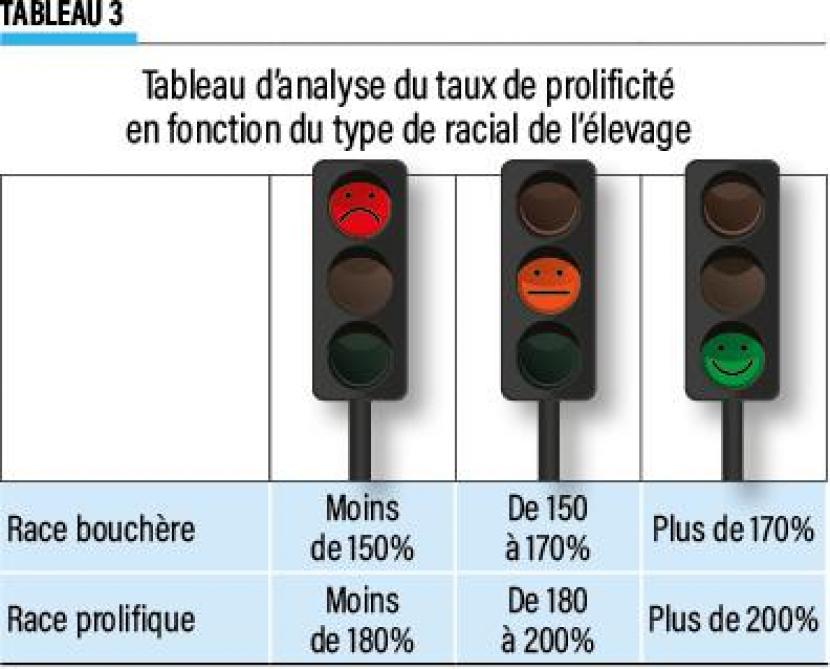 24-figure-eleveur-ovin-03-web (3)