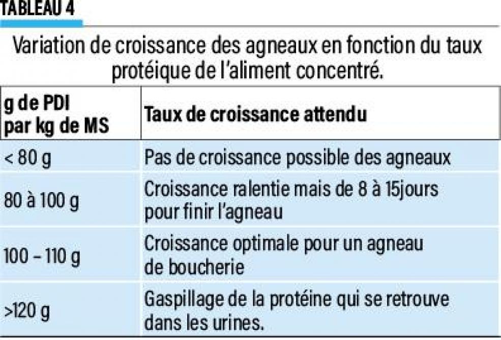 24-eleveur-ovin-04-web (2)