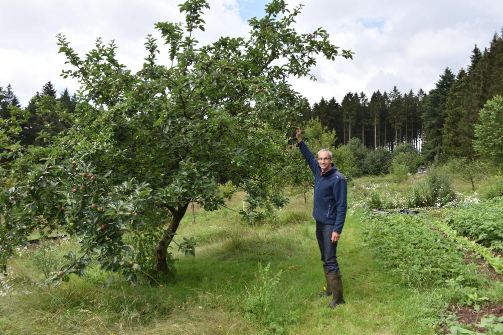 Aujourd’hui,  le verger compte  une soixantaine d’arbres en basses-tiges, mi-tiges et  hautes-tiges, surtout des pommes, poires, prunes et cerises, mais aussi  des coings.
