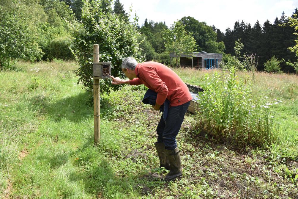 Tout est imaginé pour la préservation de la faune  et de la flore locales grâce à la pose stratégique  de nichoirs et de nombreux hôtels à insectes.