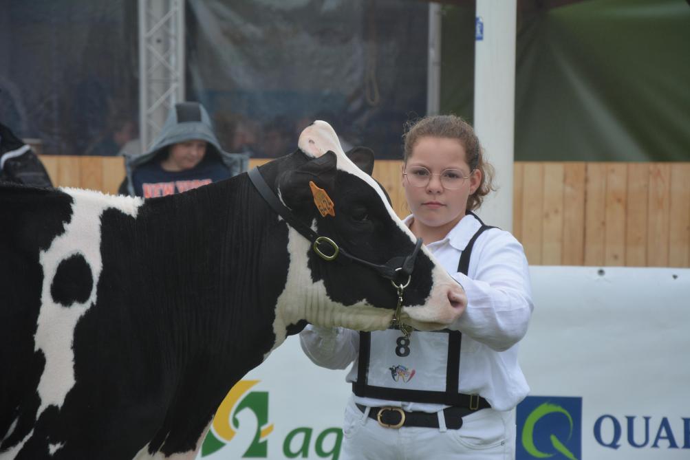 Cet événement fait aussi la part belle aux jeunes talents, comme lors du traditionnel Showmanship pour la race Holstein.