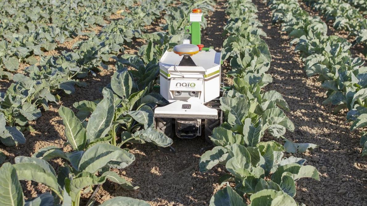 Les cultures à valeur ajoutée seront  davantage propices à intégrer la robotique.