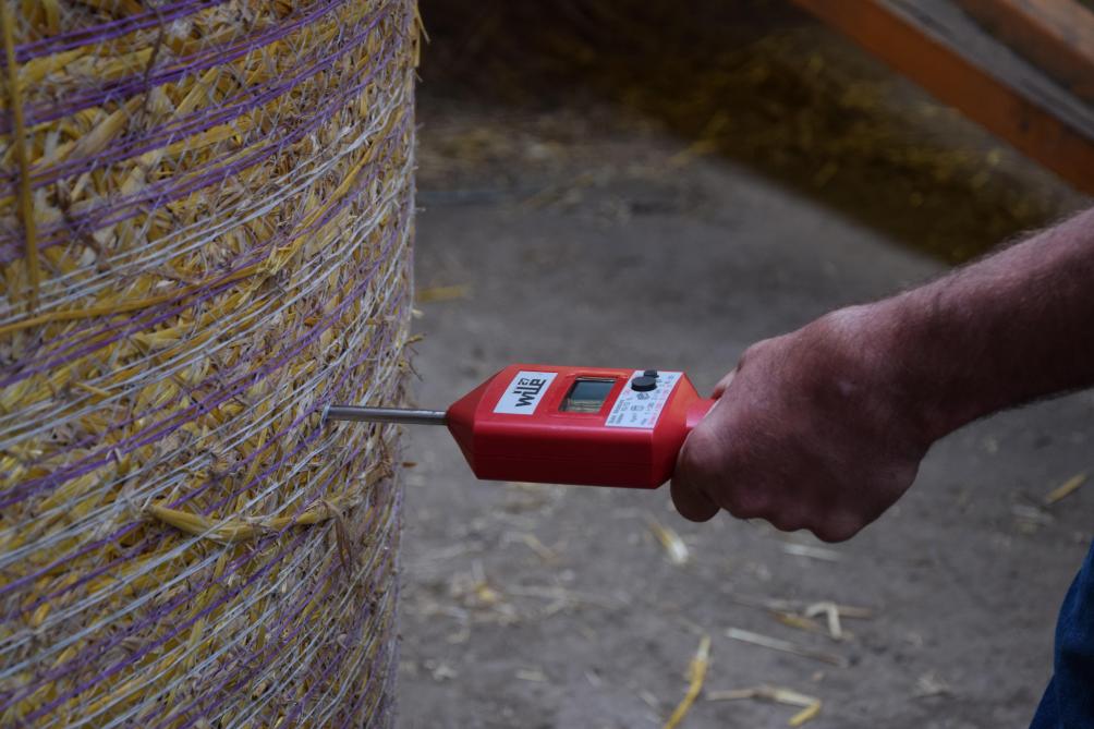 Lors de la récolte ou durant le stockage, les sondes peuvent se révéler un outil d’aide à la décision bien pratique.