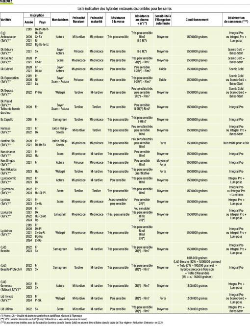 33-colza-suite-02-web