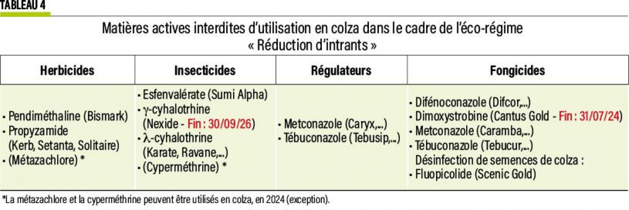 33-colza-suite-04-web