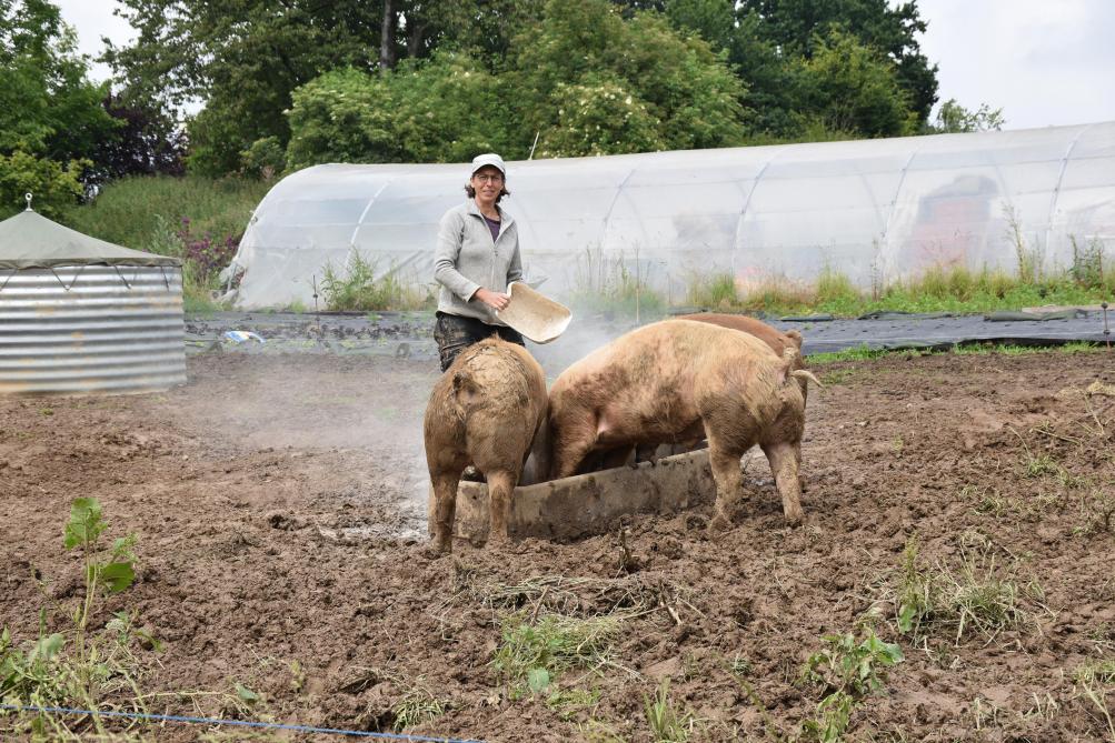 Virginie Gilbert a noué deux partenariats en agriculture sociale entre sa ferme et l’Asbl «Vaches et bourrache» ainsi que le projet «Cap sur les métiers de la terre» porté par le Cpas de Soignies.