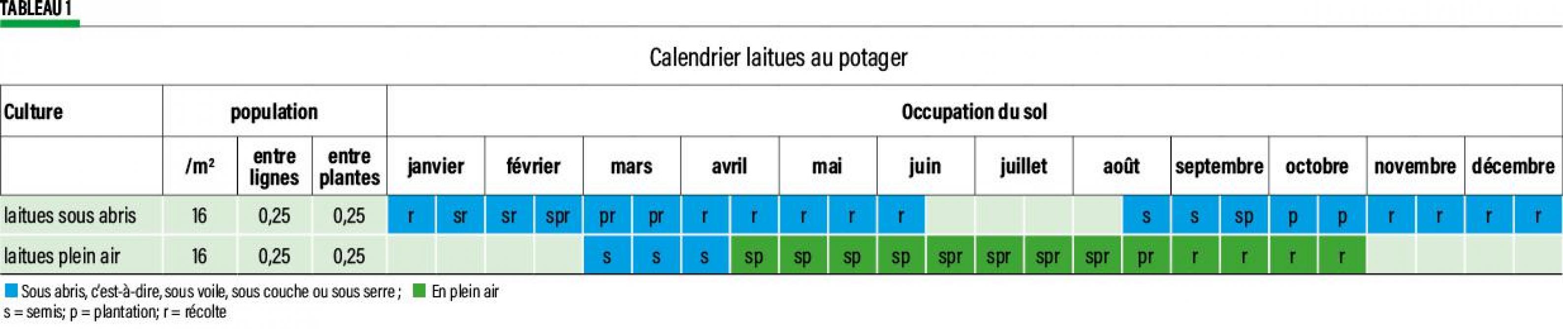 35-Calendrier laitues au potager-01-web
