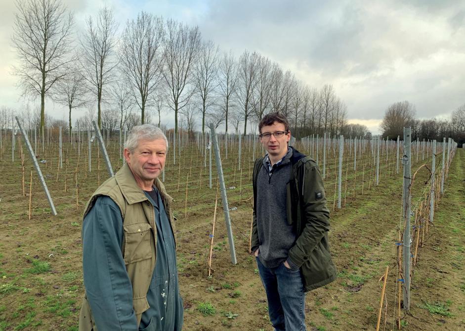 La première parcelle (2,2 ha) a été implantée de 12.000 pieds : la moitié de Chardonnay et le reste des trois Pinots.