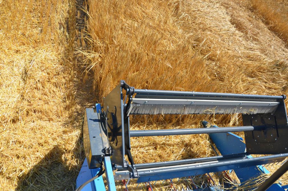 Les variétés hybrides SY Scoop (h), SY Loona (h),  SY Bankook (h), SY Galileoo (h) et Jettoo (h)  se montrent dans l’ordre les plus performantes en 2024,  sans prendre en compte le surcoût des semences.