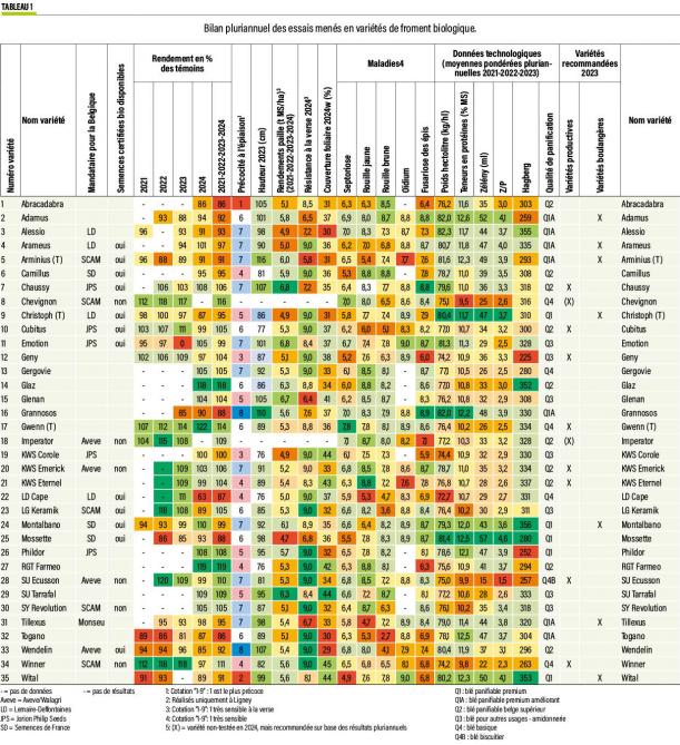 38-synthese-web