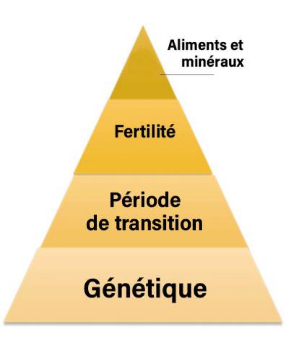42-GRAPH-arsia-02-web