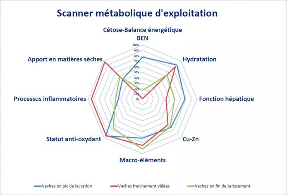42-GRAPH-arsia-01-web