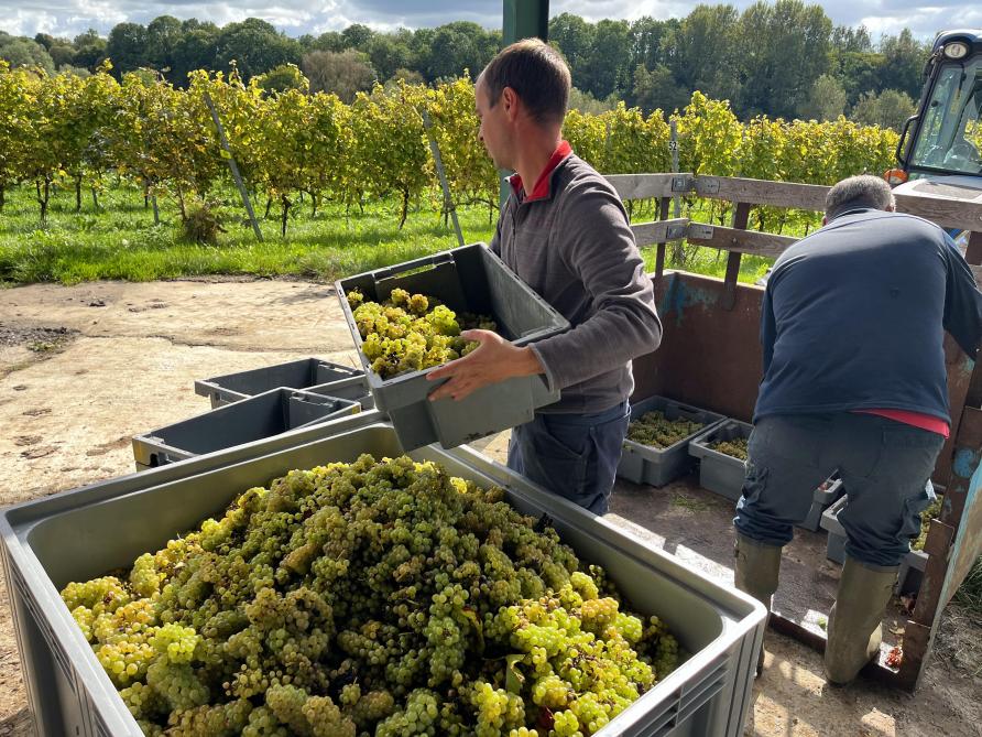 Dans le Brabant wallon, le Domaine du Chapitre enregistre une baisse générale de 50%.