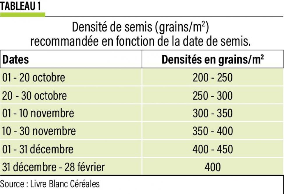 43-densité semis