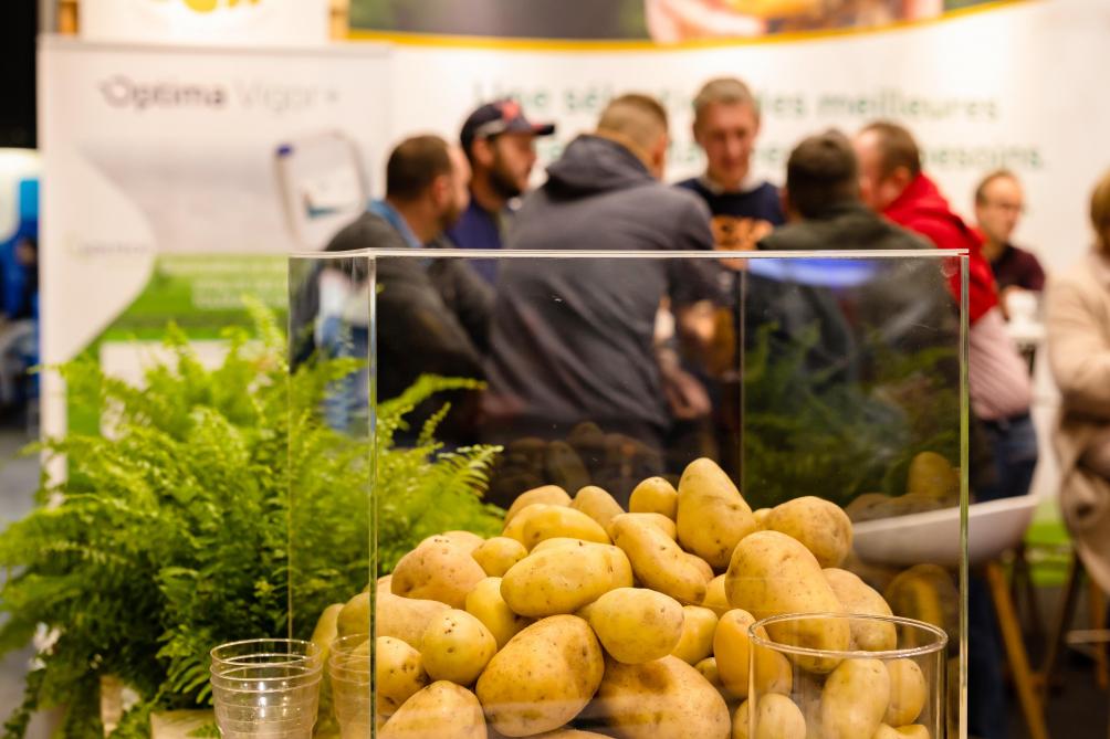 Avec le thème «Energizing a potato industry in transition», le salon souhaite mettre l