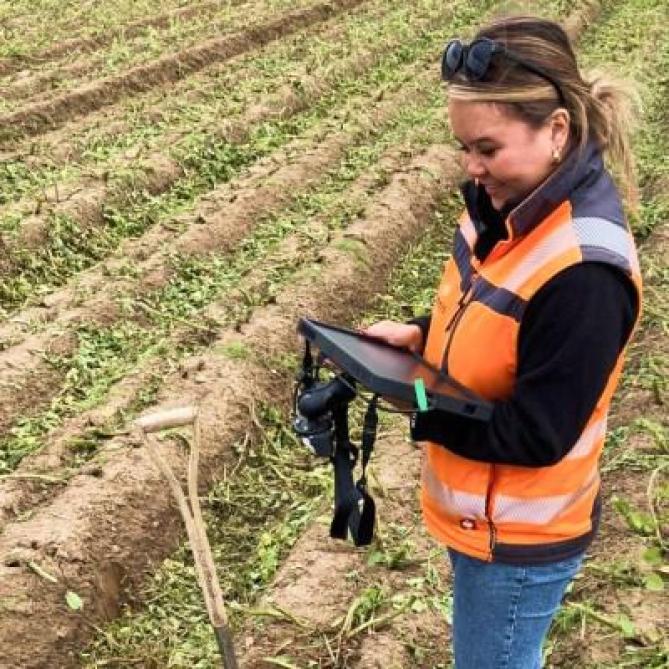 Le HarvestEye utilise des algorithmes d’intelligence artificielle avancés pour délivrer des résultats d’échantillonnage rapide sur le terrain en 30 à 60 secondes.