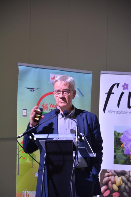 « Les rendements moyens en Belgique, Allemagne, France et Pays-Bas culminent à 42 t/ha, soit parmi les plus élevés de la planète », relève Jean-Pierre Goffart.