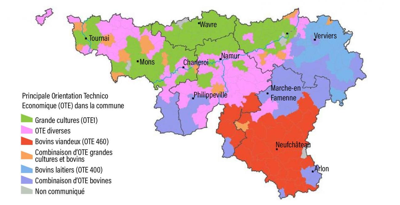 carte web