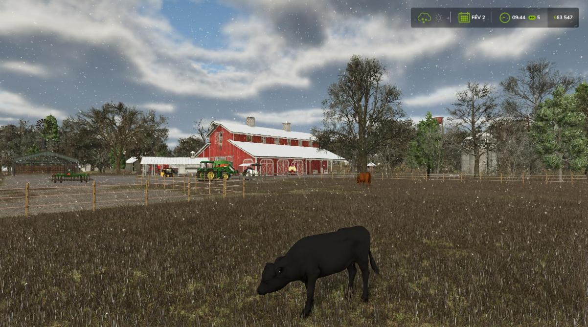 Devant la ferme, les bovins pâturent...