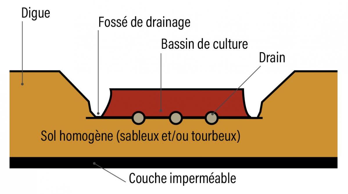 Figure 1: vue en coupe d’une cannebergière (source: CIC).