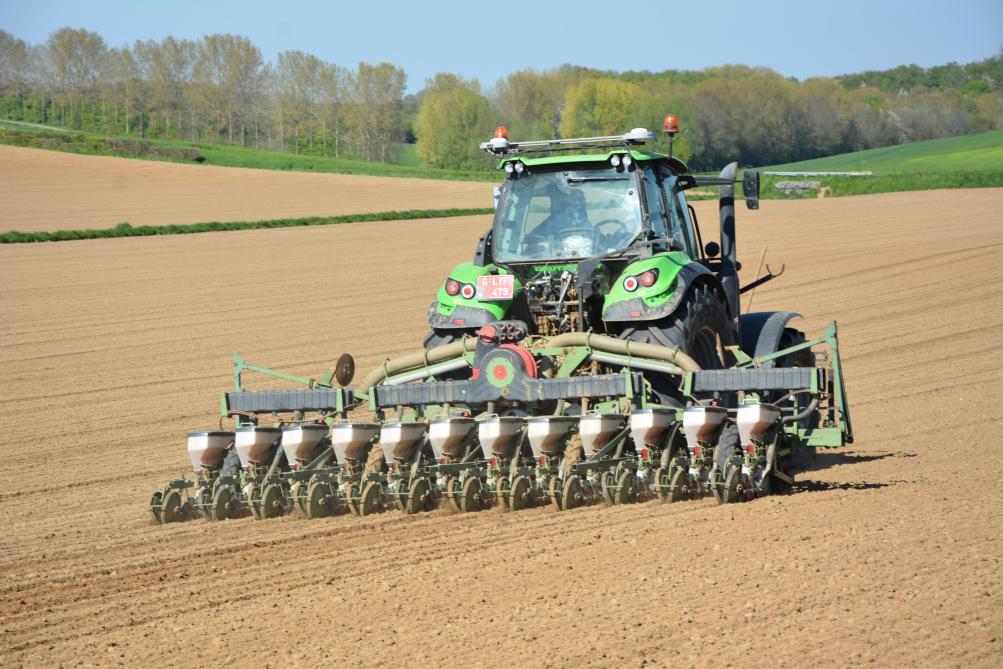 La stabilité des performances dans le temps  est un élément à bien considérer au moment  de choisir les variétés à semer l’an prochain.