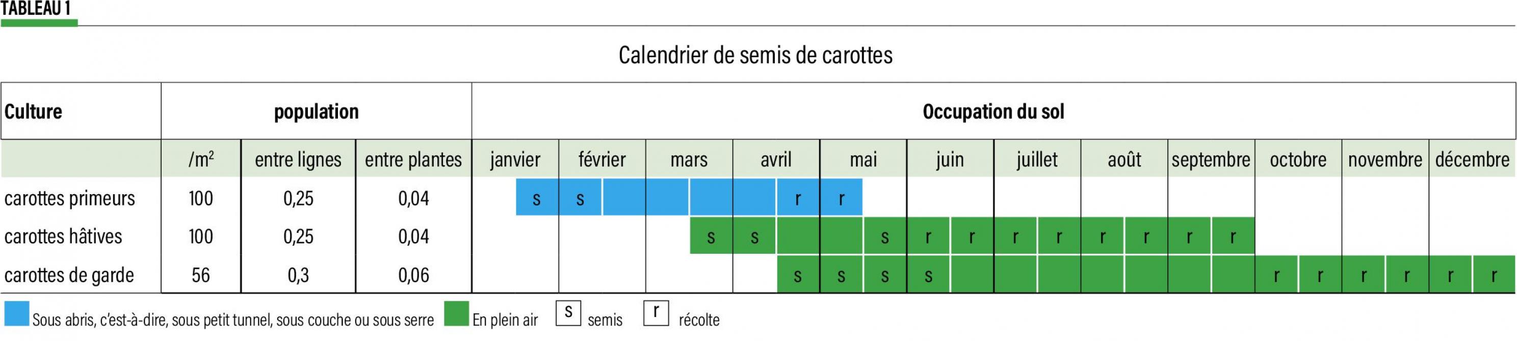 02-semis des carottes