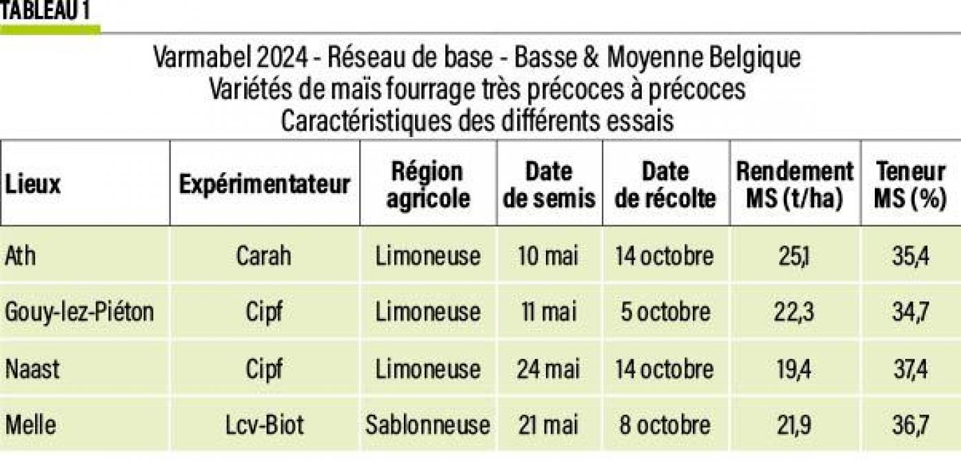 04-MAIS-01-web