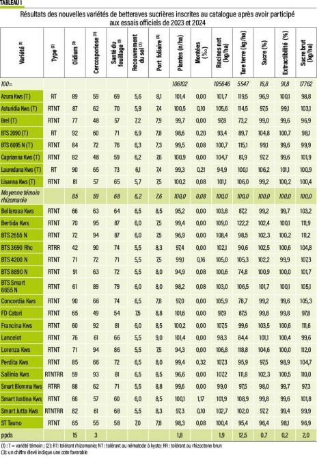05-4148_BETT 1-web