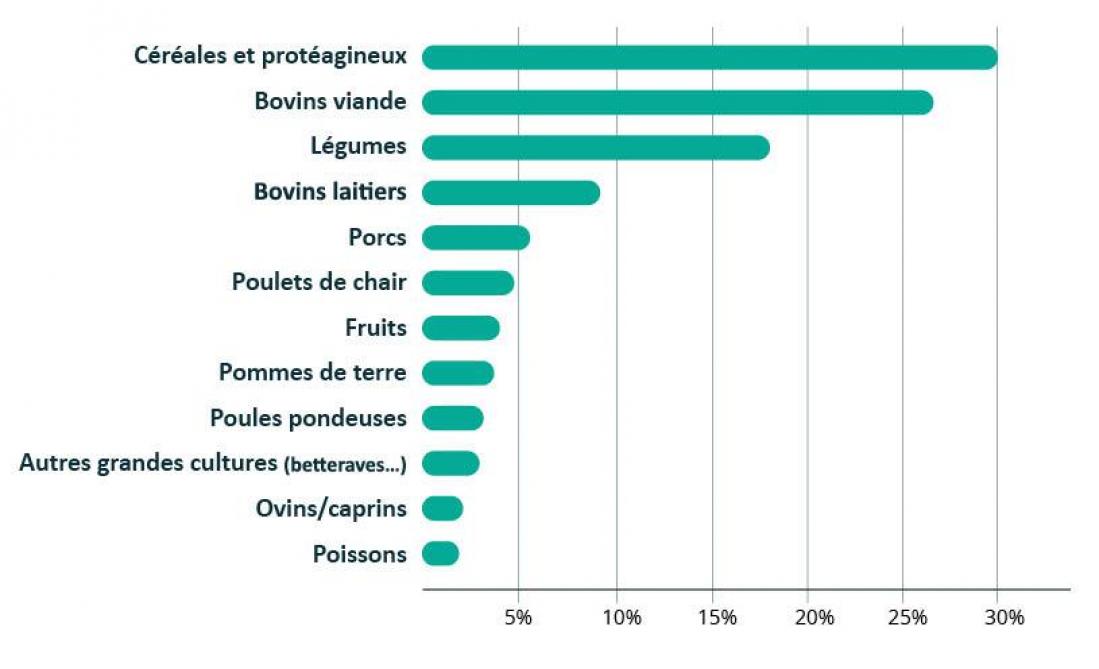 Figure 1: Classement des secteurs les plus impactés économiquement.