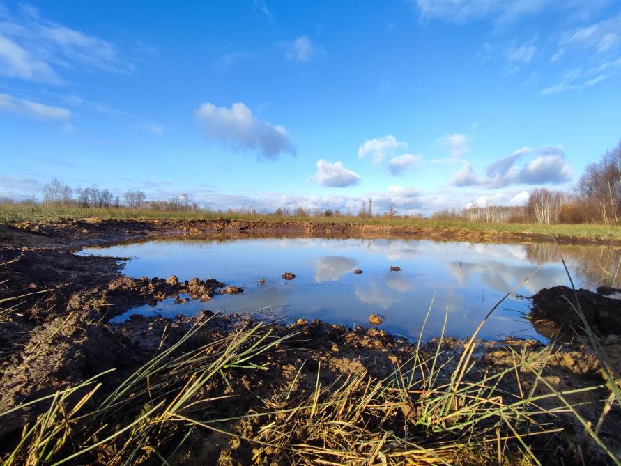 Les mares recueillent les eaux de ruissellement mais constituent aussi des habitats très favorables à la biodiversité.