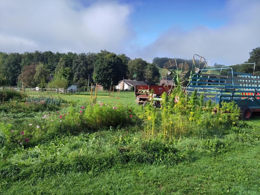 L’agriculteur souhaite trouver un compromis entre l’intervention humaine et l’action du vivant.  C’est notamment le cas pour l’entretien des herbes hautes.