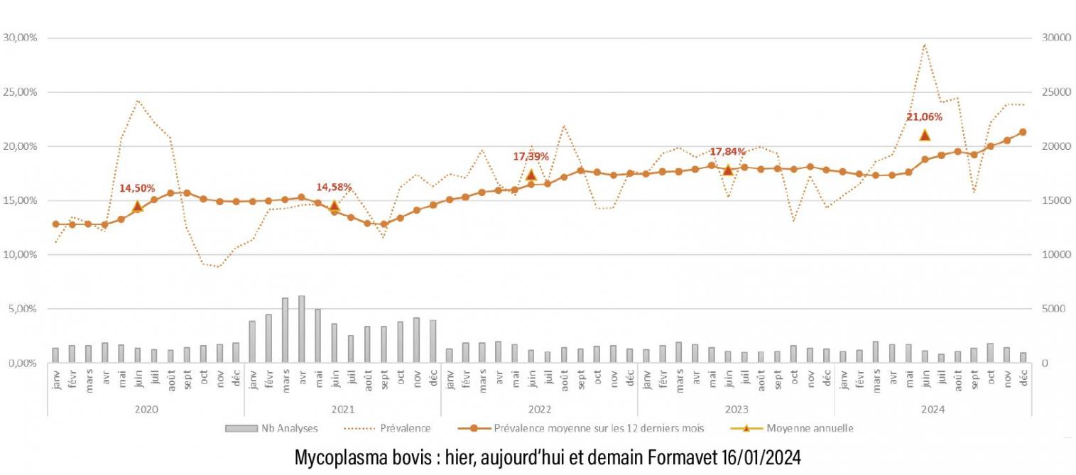 Figure 1 : évolution de la prévalence de M.Bovis à l’achat de 2020 à 2024 selon le «kit achat».