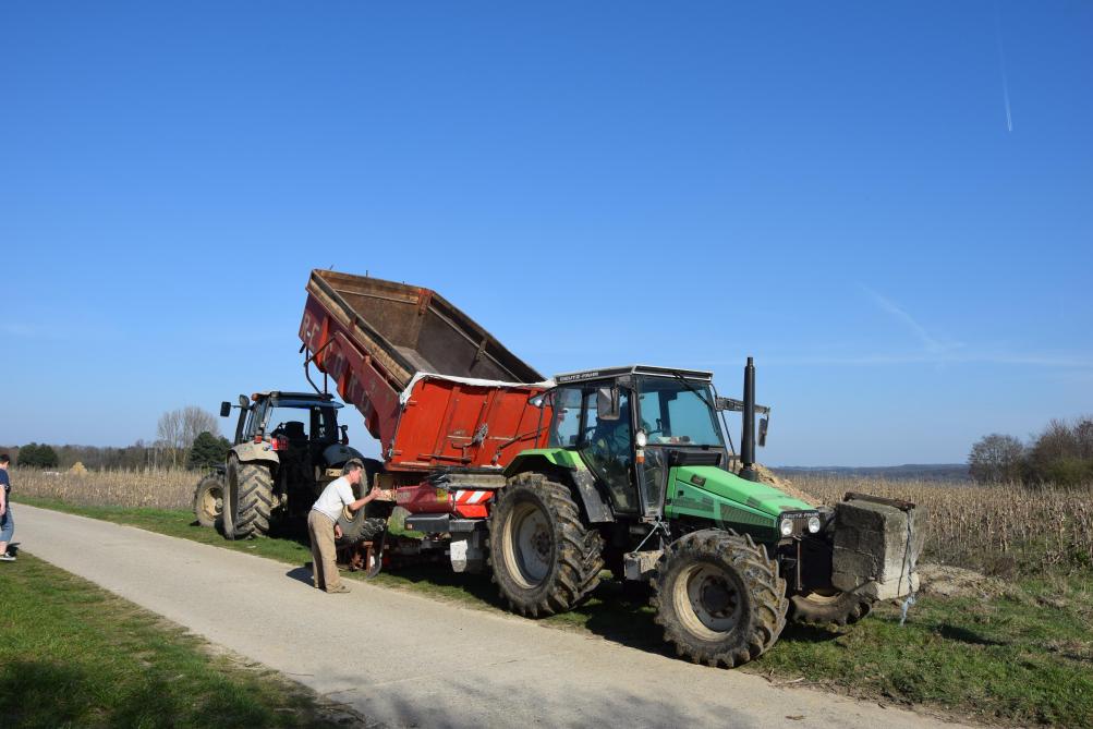 Les réponses à l’azote diffèrant entre les variétés lignées et hybrides, les schémas de fumure seront traités séparément pour ces deux types de variétés.