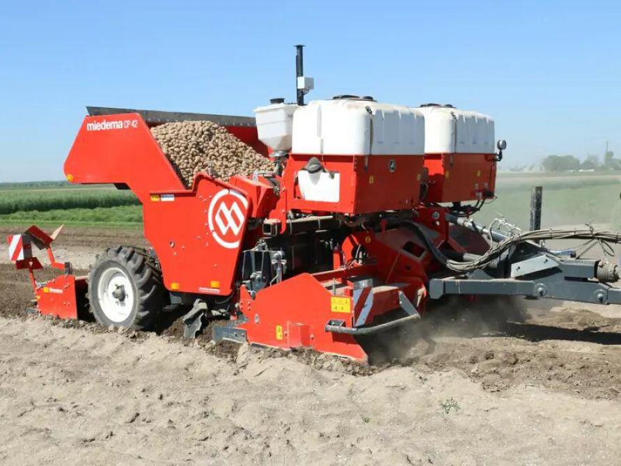 La profondeur de plantation sera réglée avant le début des travaux  mais également contrôlées au cour de ceux-ci.