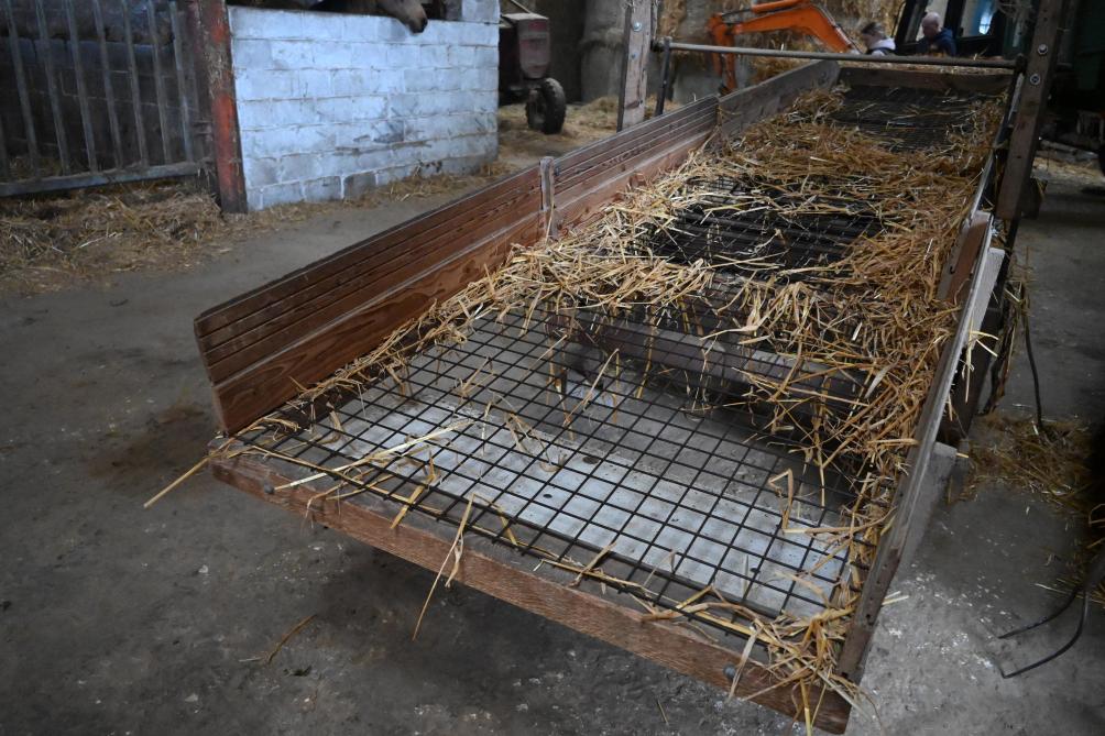 La paille utilisée lors du bourrage du Gille est uniquement de la paille d’escourgeon qui se prête mieux à la confection du costume par la formation de torquettes.