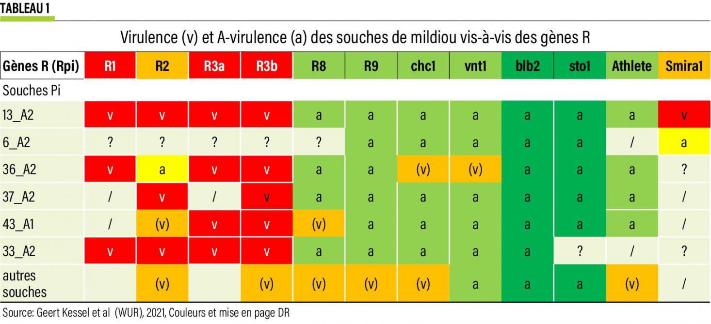10-Virulence (v) et A-virulence (a) des souches de mildiou vis-à-vis des gèn