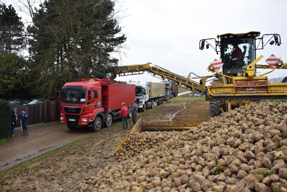 Pour 500 t de betteraves sucrières, il reste environ 100 t de pulpe. Idéalement, les transporteurs achemineront cette cargaison vers un lieu où ils chargeront également des betteraves.