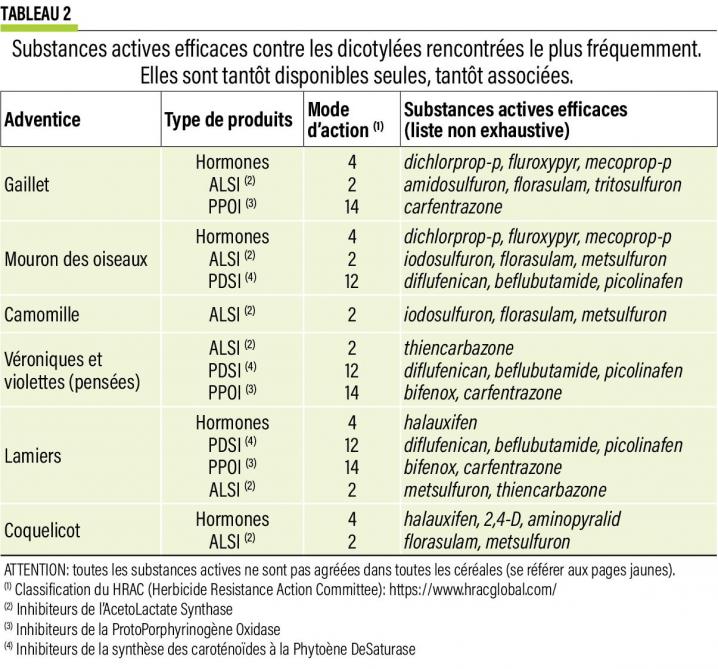 11-tableau2-Substances actives efficaces contre les dicotylées rencontrées l