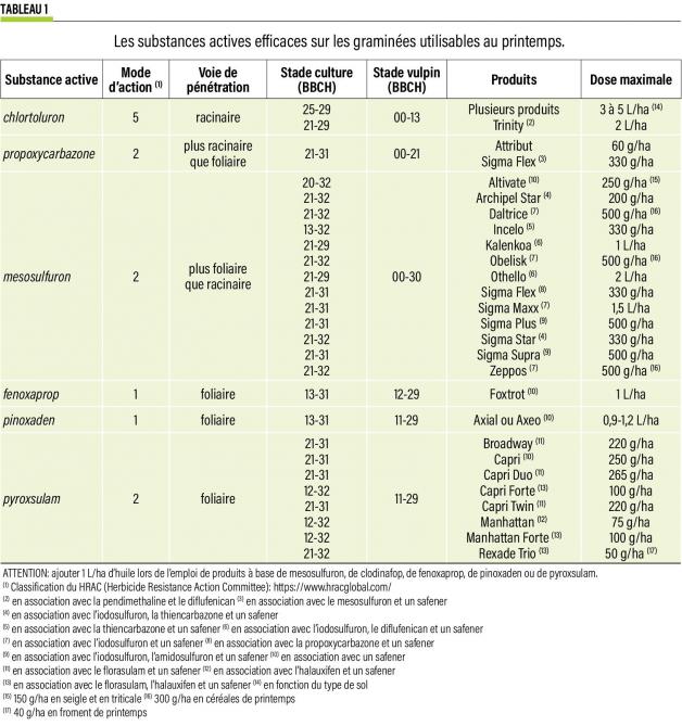 11-tableau1-Les substances actives efficaces sur les graminées utilisables au p.